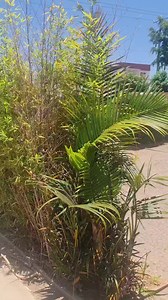 💞 | Ikopa hotel madagascar