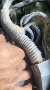 28K views · 154 reactions | Fuel Injectors Electric Line Checking | Rx Mechanic | Facebook