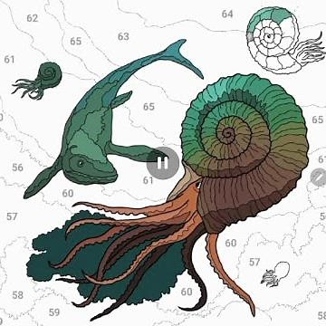 113 , do you know about AMMONITES let's learn and color