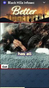 Stealer logs #infosecnews #cybersecurity #logs #microsoft #infosec