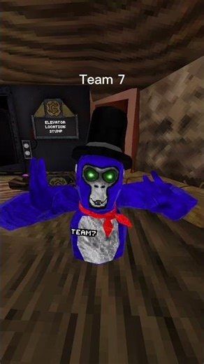 Join code team 7 right now