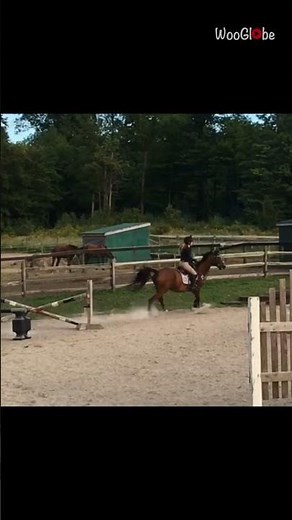 Epic Horse Riding Fail: Hilarious Fall Caught on Camera || WooGlobe