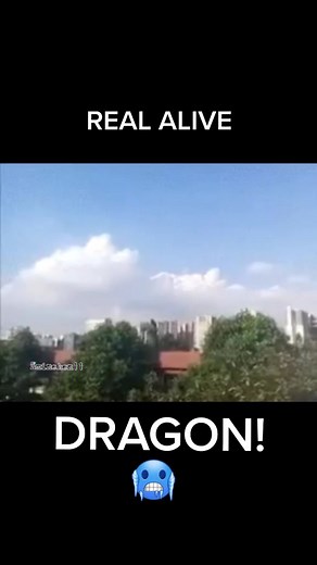 Real Dragons Caught on Camera in the World! 🐉😨