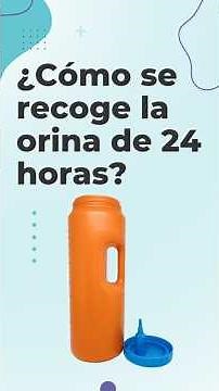 How to collect a 24-hour urine sample?