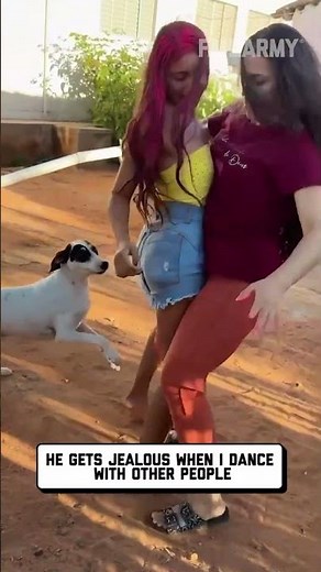 Craziest pet messes ever 😭🤬