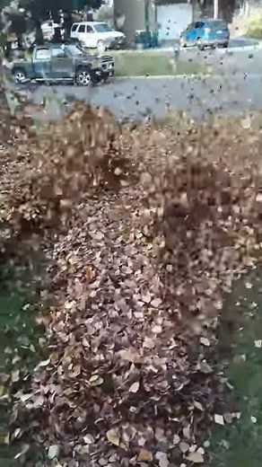 Stihl Br700x vs husqvarna 570bts