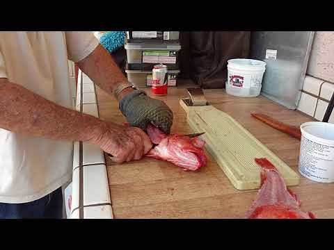 How to fillet a rock cod fish in San Diego