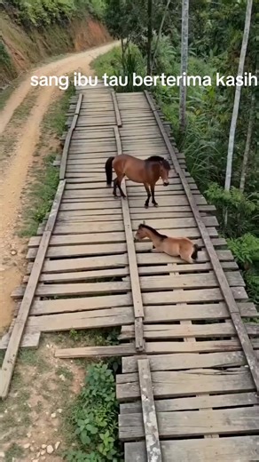 ferry_soputan🇺🇸 (@ferry_california71)’s videos with suara asli - ferry_soputan🇺🇸
