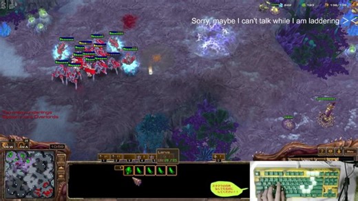 JP zerg Asia ladder Focus!!!