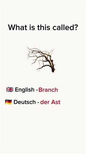 ​Wood Vocabulary in English & German 🌳 | Learn Daily Words #Shorts #languagelearning
