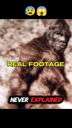 Filmed in 1967… Still Unexplained 😱🦶 #bigfoot #unsolved #shorts