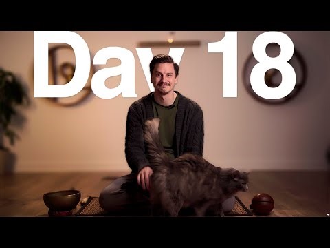 Day 18 | How Is It In There? | 30 Days of Meditation