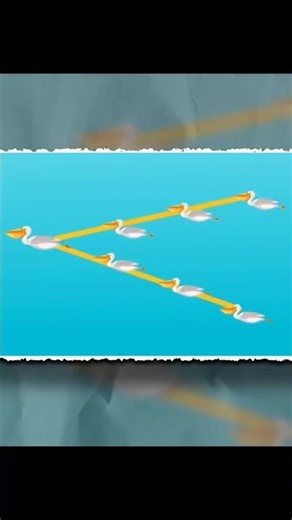 Why Birds Fly in a Perfect V-Shape? Shocking Science of Teamwork 🐦✨