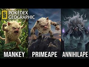 Real Life Pokémon - NatGeo Primeape Story