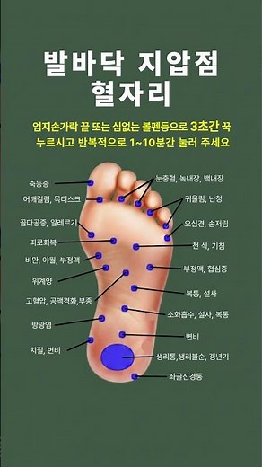 발바닥 지압점 혈자리 #발지압 #발바닥지압 #지압요법 #혈자리 #족저반사