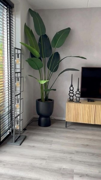 Curso Online de Diseño de Interiores para Principiantes