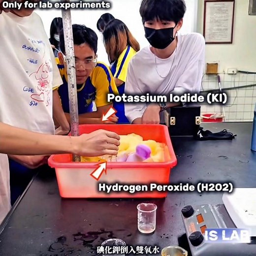 This Elephant Toothpaste Reaction is INSANE! #ChemistryExperiment