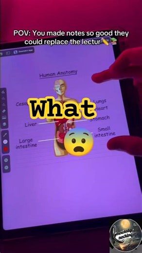 You Made Notes That Are BETTER Than the Textbook 🤯 (Human Anatomy)