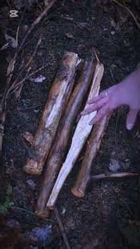 How to make a fire in the rain #how #campping #bushcraft #shorts #viral #fire #foryou