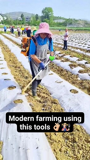 53K views · 328 reactions | Modern farming using amazing farming tools/equipments‍✨ #kafarmingtv #highlightseveryonefollowers #trendingreelsvideo #fypシ゚ #farming #fblifestyle #cctto | KaFarming TV | Facebook