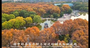 The story of Native Datongers | IP Datong