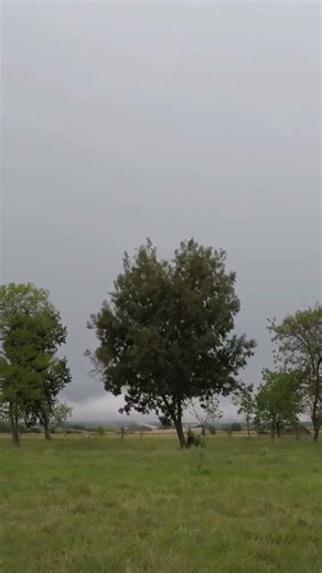 papautainature video #nature #village #naturetranquility #clouds #viral #trending #love #breeze