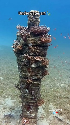 Underwater sculpture 🗽 #scubadiving #redseadiving #oceanart #reelsviralシ #followandshare | Scuba Diving
