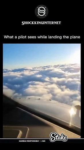 210 reactions | When a pilot lands a plane, the view from the cockpit...