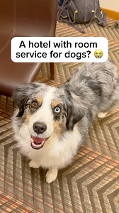 316K views · 306 reactions | Round of applause for the @fairmontjpl...