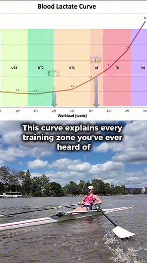 Understanding Rowing Training Zones on the Lactate Curve