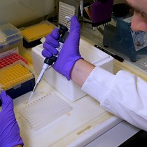 Video: Measuring Single-Cell Mitochondrial DNA Copy Number and Heteroplasmy Using Digital Droplet Polymerase Chain Reaction