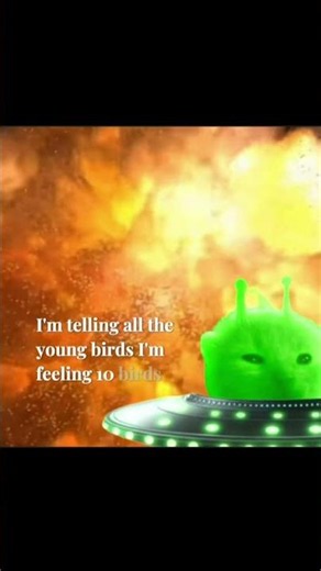 I'm a cat from an alien planet. I'll rule over you. #cat #earth #alien #music