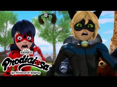 Miraculous |🐞 Mezcla de acción 🐞 | Las Aventuras de Ladybug | Animación