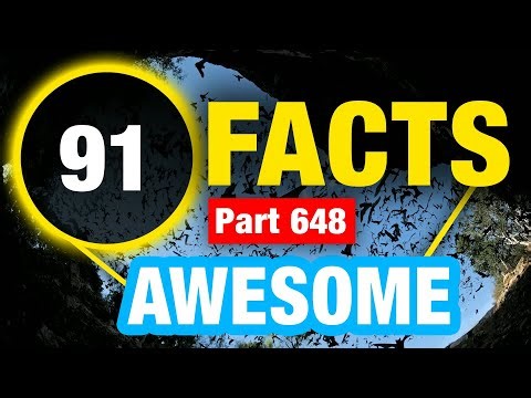 91 Facts That Will Shock You | Mind Blowing Random Facts