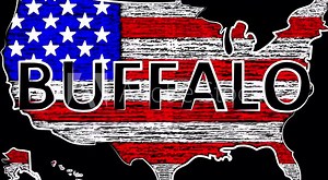 Buffalo Animation. USA the name of the country. Coloring the map and flag.