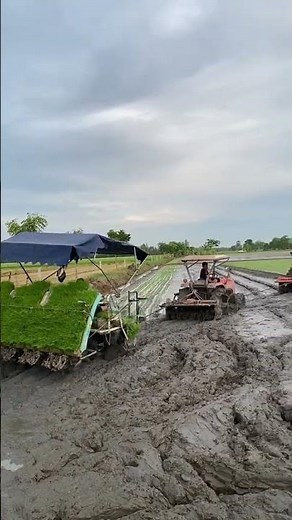 rice planting machine