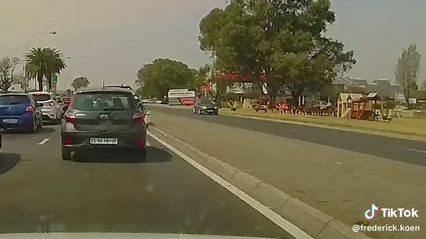 The way to deal with a littering piggy #litterbug #nojack #antonkoen #pig