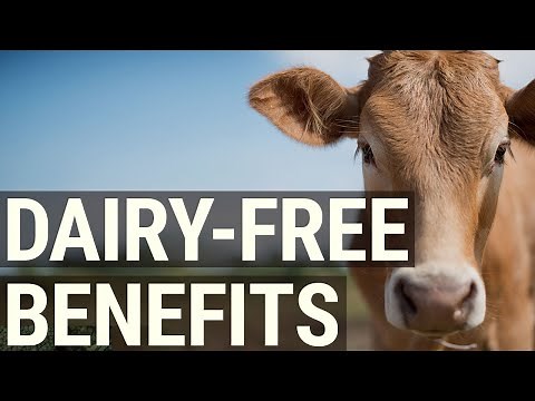 The 7 Best Benefits of Going Dairy Free - Better Health, Better You