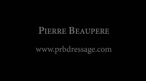 Evolution de W., cheval déclaré naviculaire et ne pouvant plus travailler, avant et après un an de travail de correction de la dissymétrie naturelle. Pour plus d'informations concernant la dissymétrie naturelle du cheval et le travail de correction de Pierre Beaupère, visitez www.prbdressage.com | Pierre Beaupère Dressage