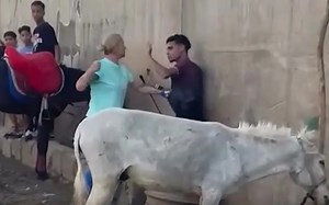 Woman arrested after attacking man who was whipping donkey
