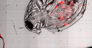 ReSeq: Reuse DNA Sequencers – Crowdfunding on wemakeit