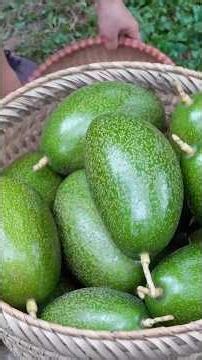 The Avocados I Chose for Market Day