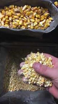 Save Money Cracking corn with paper shredder. $5 corn cracking machine and much more