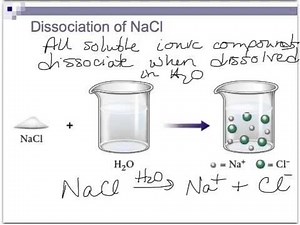Solvation: Like Dissolves Like