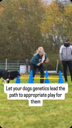1.2K views · 28 comments | Work WITH Your Dog’s Genetics, Not Against...