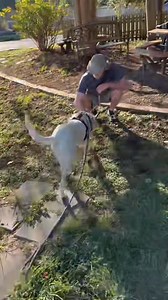 301K views · 13K reactions | We posted Ghost yesterday who came to...