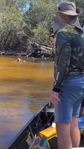 BREAKING: First recorded footage of a jaguar attacking a black caiman.