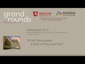 KCNV2 Retinopathy: A Story of Mice and Men