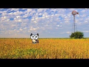 Illinois! (Hank Hanky)