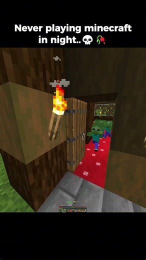 Minecraft in Night.. #minecraft #minecraftmemes